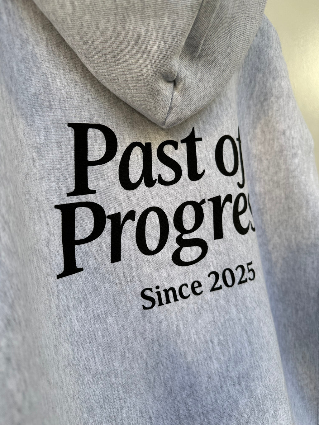 King Of Sweat Hoodie Classic Logo【ASH】PAST-002